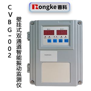 CVBG-002壁挂式双通道智能振动监测仪