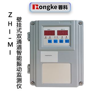 ZHI-MI壁挂式双通道振动监测仪
