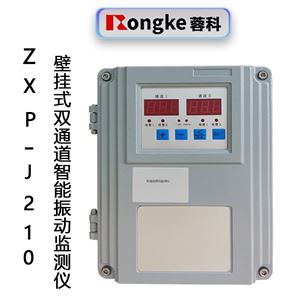 ZXP-J210(壁挂式)双通道振动监测仪
