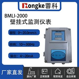RK/BMLI-2000壁挂式监测仪表