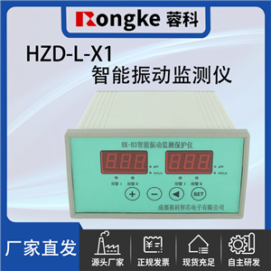 HZD-L-X1振动检测表