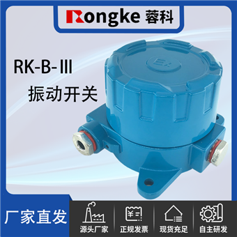 RK-B-III振动开关/振动检测表